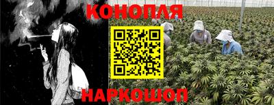 мяу мяу мука Чебаркуль