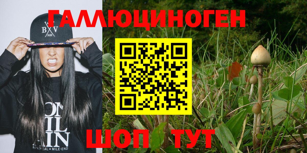 Нововоронеж  Псилоцибиновые грибы прущие грибы  Вход с VPN 
